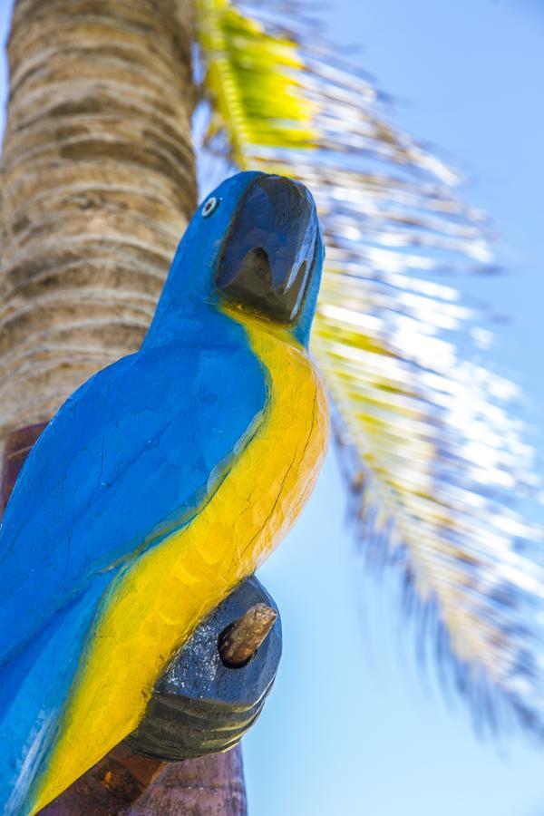 Pousada Cores Dos Corais Maracajaú Zewnętrze zdjęcie